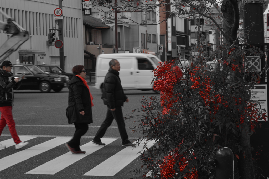CSC_0281