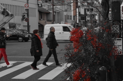 CSC_0281