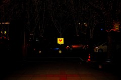DSC_0062
