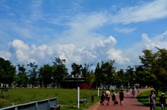 DSC_0465