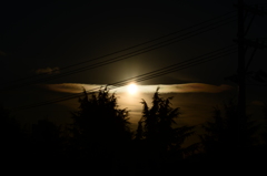 DSC_0055