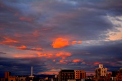 DSC_0218