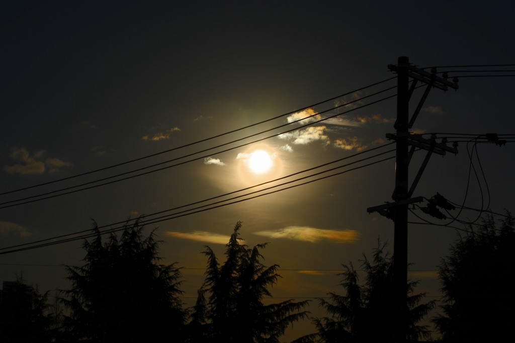 DSC_0061