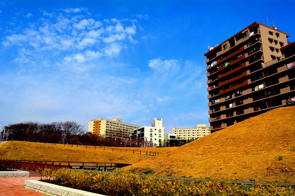 風景
