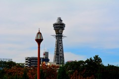 DSC_1228