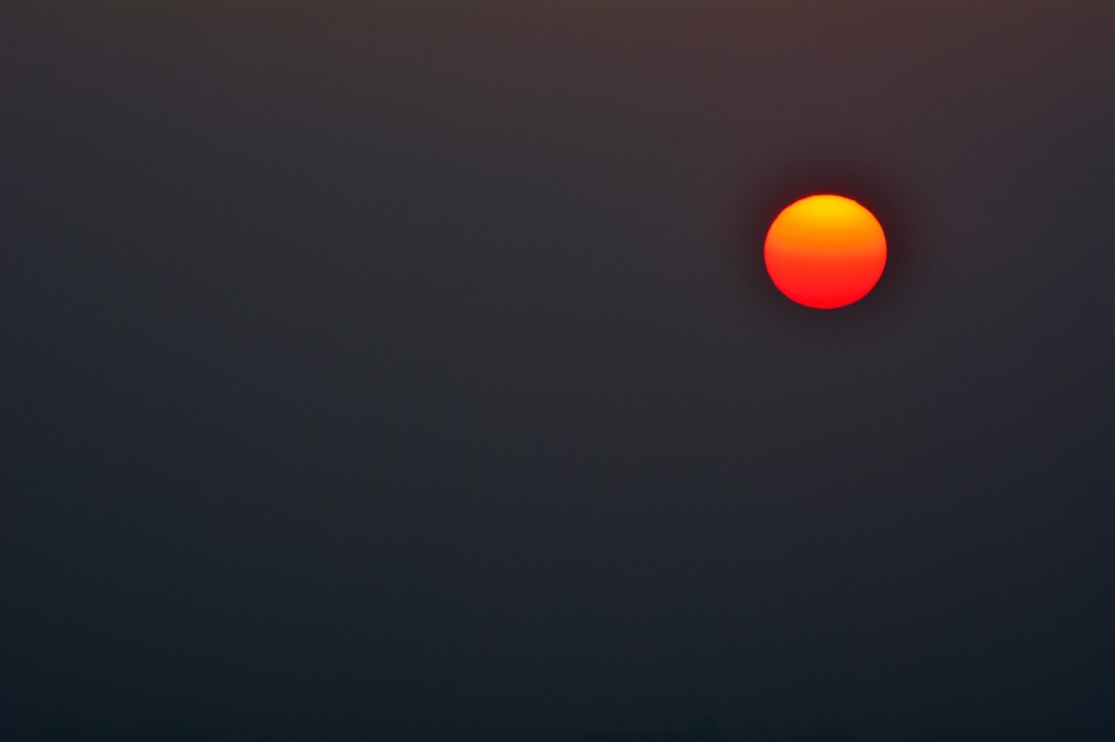 DSC_1104