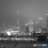 在上海