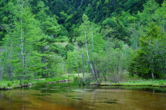 田代池