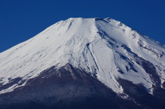 富士２