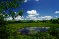 八島ヶ原湿原の空