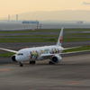 ARASHI HAWAII JET