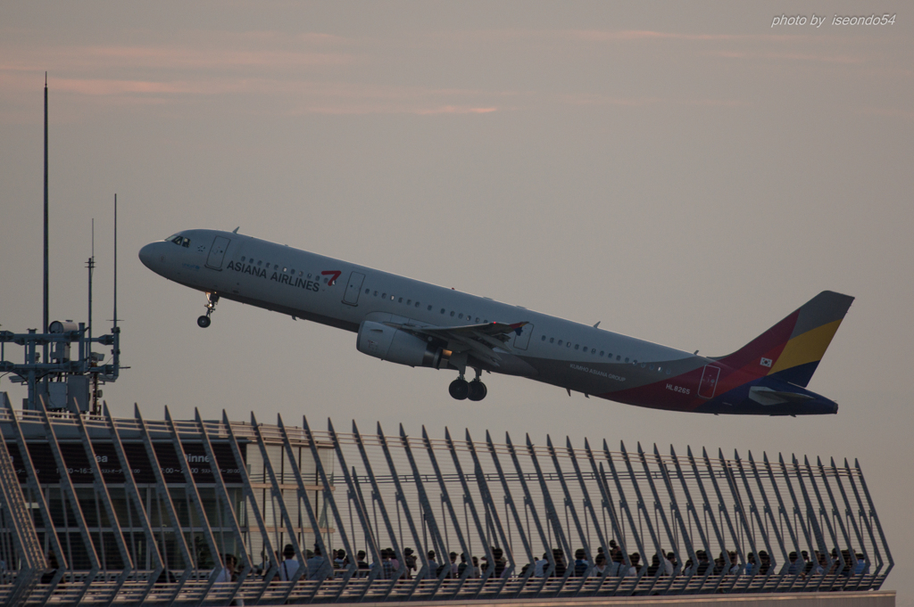 スカイデッキのAsiana