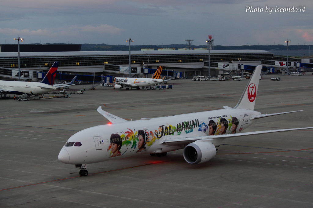 JAL HAWAII JET