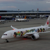 JAL HAWAII JET