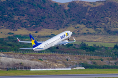 南ぬ島　石垣空港　Skymark　737-800