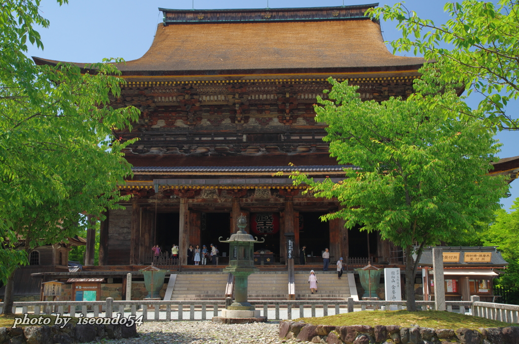 団体さんも今日は少なめ