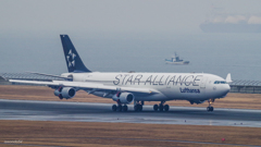 Lufthansa　A340-300　Star Alliance