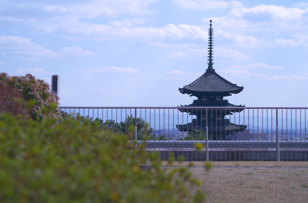 興福寺　五重塔
