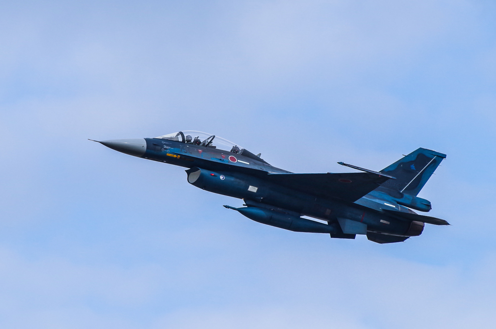 F-2B