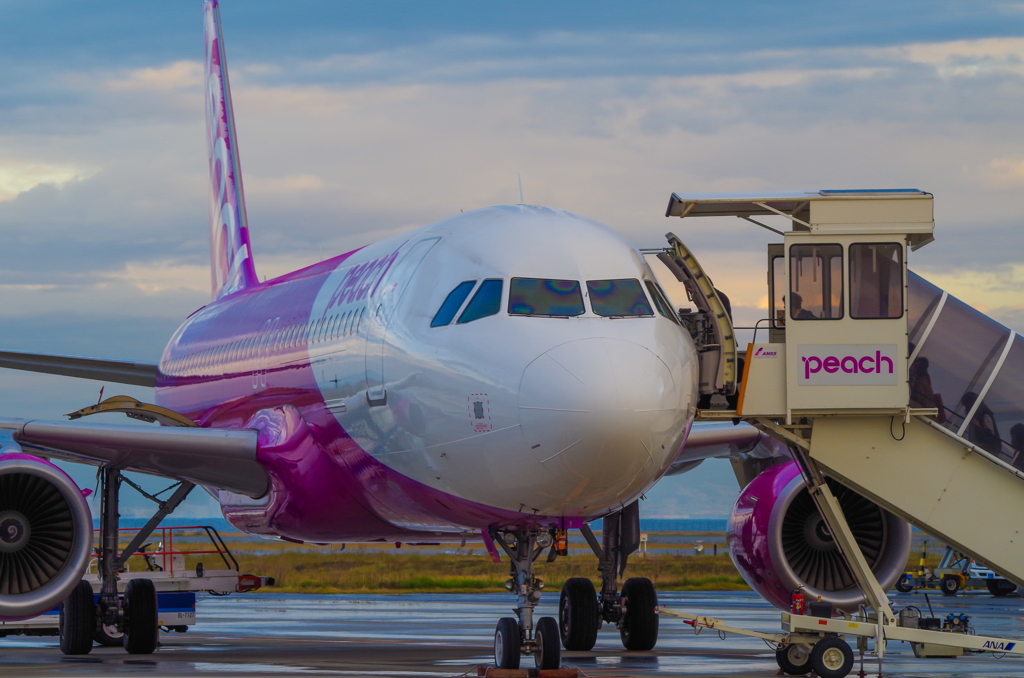 Peach　MM231　A320-200　
