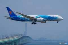 China Southern