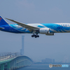 China Southern
