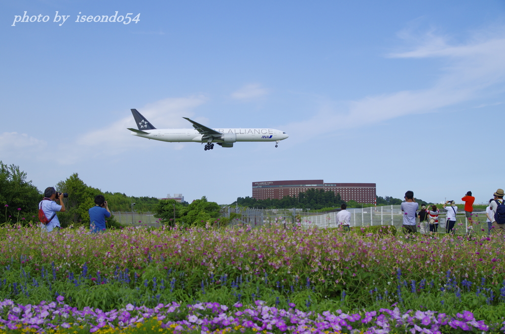 さくらの山公園