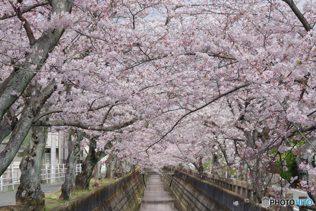 トンネル