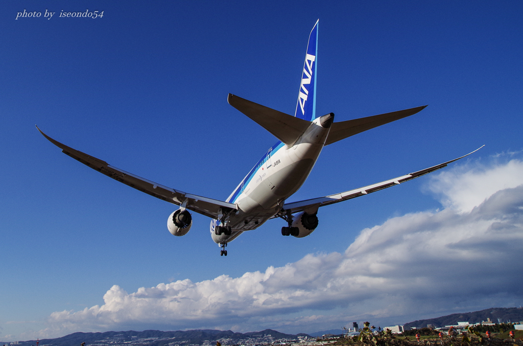 B-787　華麗なる翼
