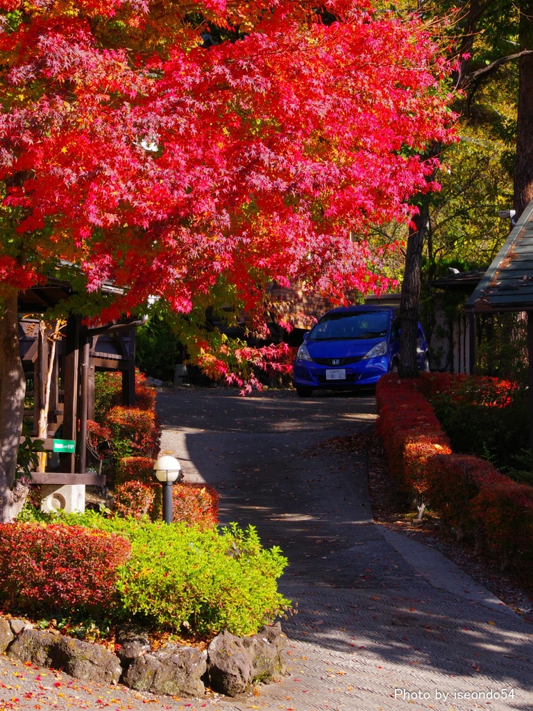 紅のトンネル