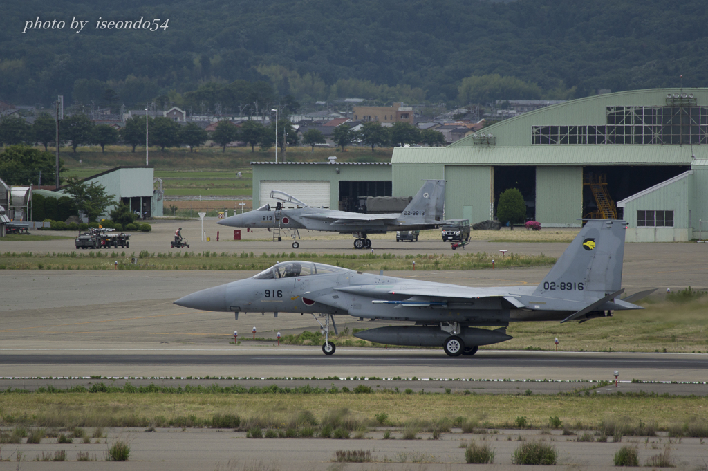 イヌワシとドラゴン