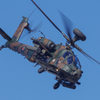 Apache