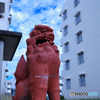 守神
