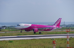 南ぬ島 石垣空港　A320-200