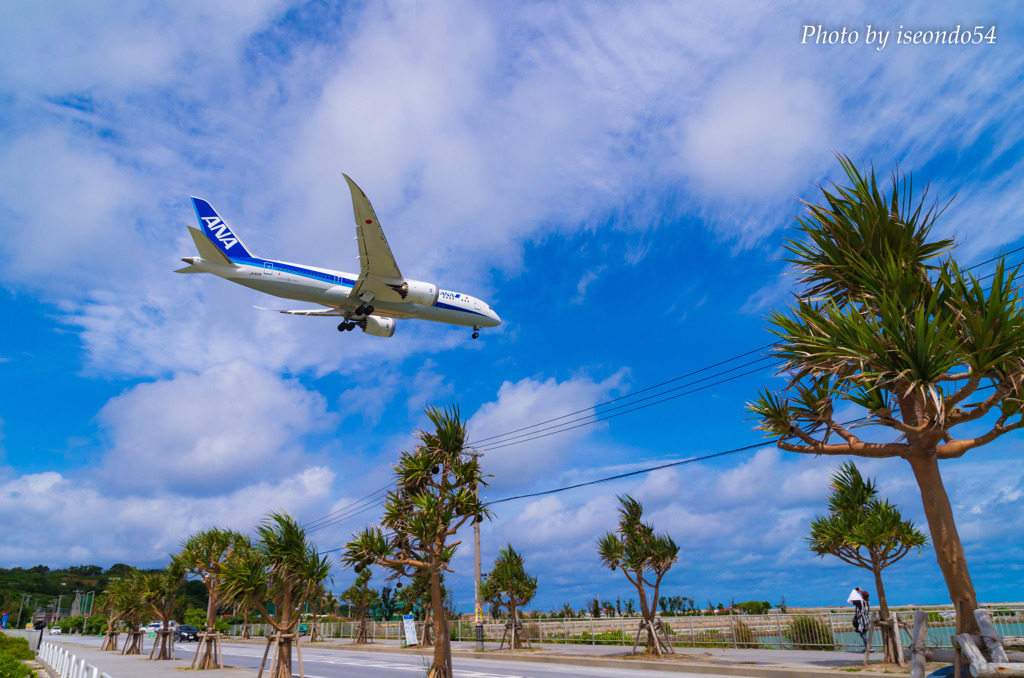 うちなーの碧空