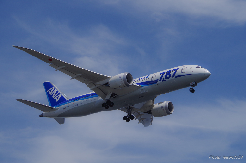 Dreamliner　①