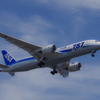 Dreamliner　①