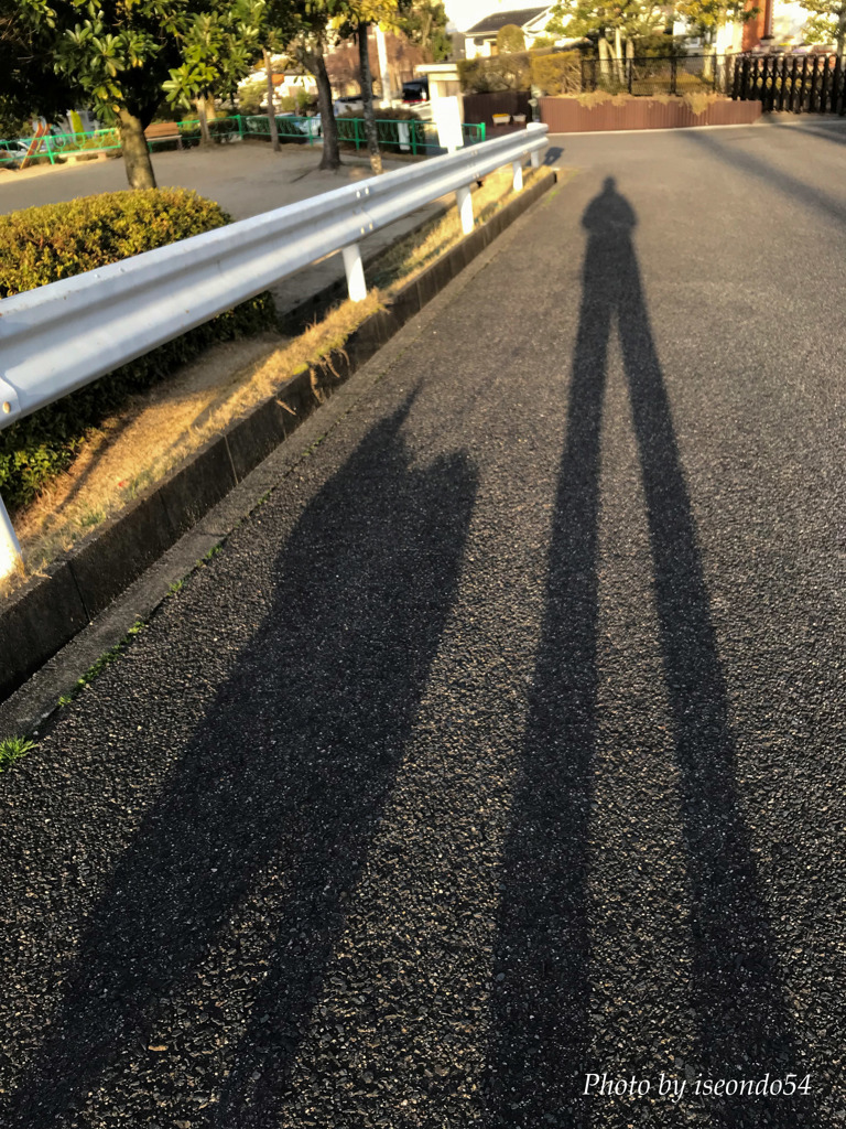 長～い影