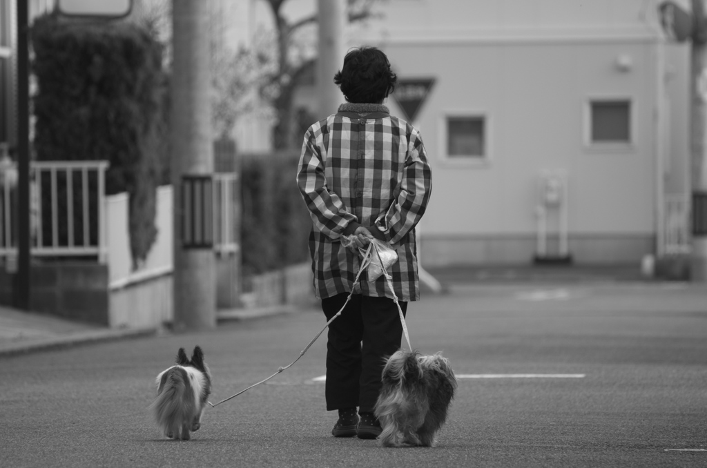 お散歩