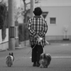 お散歩