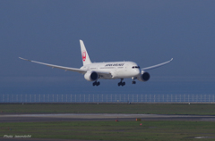 Dreamliner　JA833J