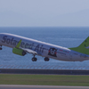 Solaseed Air　JA802X