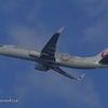 沖縄空手