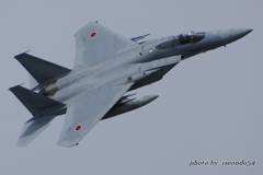 天狗　F-15J