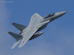 白頭鷲　F-15J