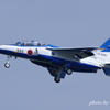 新顔