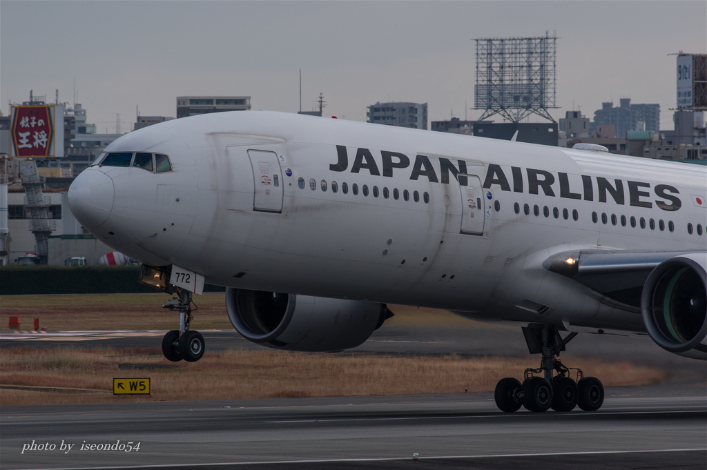 飛行機の王将