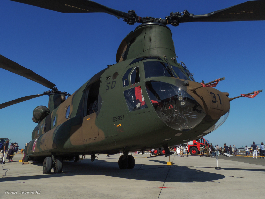 Chinook