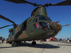 Chinook