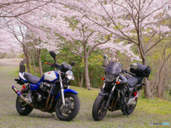 ツーリング
